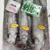 「魚魚市場鮮魚コーナーおすすめは「養殖ヒラス・水イカ」です♪」