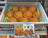 丁寧な選別こだわりのデコポン「春の味覚🌸大阪貝塚産　採れたて穂先たけのこ入荷しました🌸」