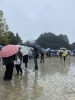 「雨のマルシェ☔」