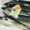 「魚魚市場鮮魚コーナーおすすめは「カマス・カレイ」です♪」