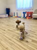 追いかけっこ中〜「ましゅまろ幼稚園　(^-^)」