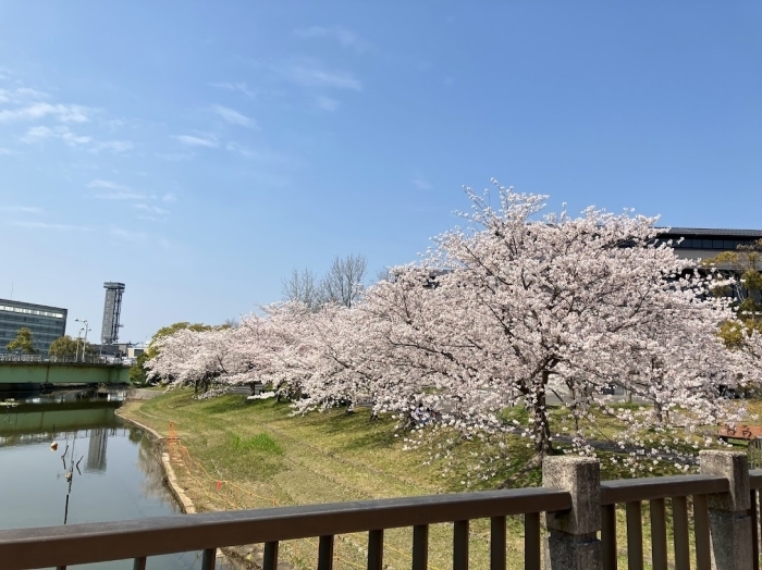 松江北公園　松江市学園