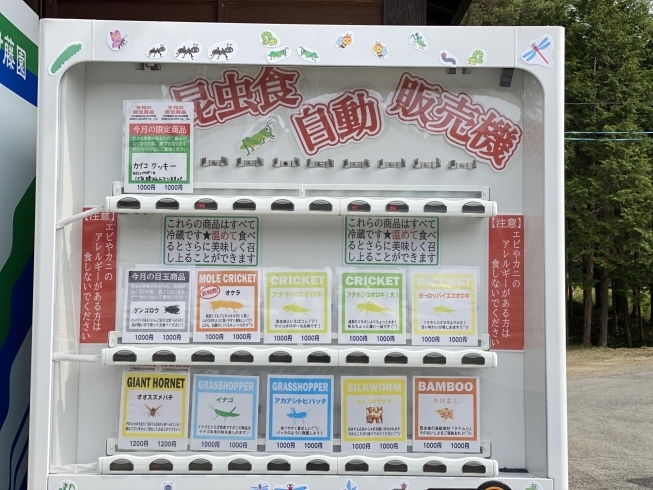 昆虫食自動販売機　商品ラインナップ「ついに登場！！【開田高原　木曽　自販機　昆虫食】」