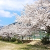 小川谷運動公園