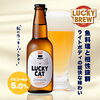 魚料理と!!!「黄桜　ラッキービール入荷しました🍺」