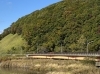 わかりにくいですが光紅葉も綺麗でした「たんちょうが飛ぶ、美しいシラルトロ湖」