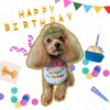 「Dog salon mofu mofu　余市町」