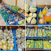 「信州生まれの桃『秘味黄金』入荷しました！」