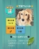「2025/11/22㈯ 譲渡会(所沢市)保護犬参加情報！㉑ミニチュアダックスフンド　埼玉/所沢・入間・狭山・川越・飯能 　東京/東大和・武蔵村山・東村山・東久留米・小平・立川」