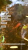庭の池の金魚「Good morning Otaru!  小樽の古民家ゲストハウスより」