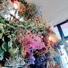 「『はなやホック皆生店』ドライフラワー!」