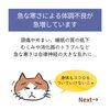 「寒い季節は心身ポカポカするオイルトリートメントがオススメ！(=^ェ^=) 整体・オイル・リーディング・占い・顔そり・氣功」