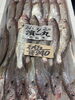 「本日も営業致します」