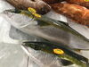 「魚魚市場鮮魚コーナーおすすめは「北海道産ホタテ」です♪」
