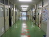 公立小学校の旧校舎だからしっかりした設備。「不登校の子どもたちに多様な学びの場を！「子どもがつくる、子どもとつくる」東京シューレ江戸川小学校」