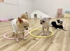 米ちゃん＆くうちゃん「ましゃまろ幼稚園🐾」