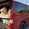 自己紹介｜愛犬と車旅