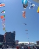 「青空に映えるフラダンス！みんなで楽しく踊りました！那珂川市　レイマカナアロハ」