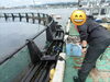 漁業体験で、豊かな恵みを実感「マグロ養殖体験に挑戦！海の仕事から広がる学び」