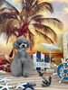 ＮｏＮｏ「サンセットビーチ🏖️ うちの子パートⅠ」