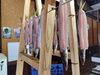 「📣本日のお魚情報🐟」