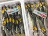 「魚魚市場鮮魚コーナーおすすめは「ボイル地タコ」です♪」