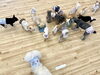 みんなで仲良くノーズワーク中😋「ましゅまろ幼稚園🐾」