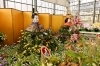 パンジーハウス 鴻巣びっくりひな祭り サテライト会場 鴻巣びっくりひな祭り こうのす広場 鴻巣市 パンジーハウス 鴻巣びっくりひな祭り サテライト会場 鴻巣びっくりひな祭り こうのす広場 鴻巣市