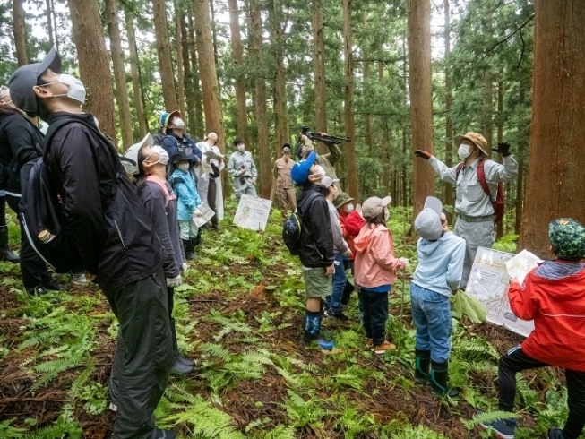 小学生の親子向けに開催した「森の教室」「糸魚川の森林資材で経済を動かす」