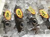 「魚魚市場鮮魚コーナーおすすめは「キンメダイ」です♪」
