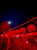 「11/8(土)は夜間拝観ライトアップを開催致します。」