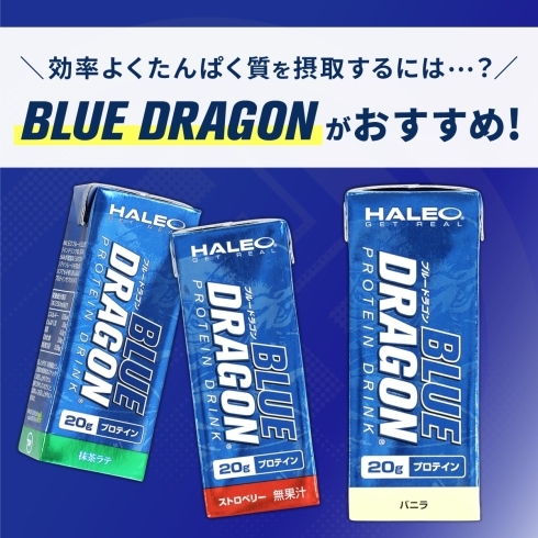 当店で販売しているプロテイン「ブルードラゴン」です「60歳を過ぎると筋肉の減少が加速します。「タンパク質不足」にご注意を！」