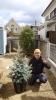 プンゲンス・ポプシーもご注文いただきました♪「川西市向陽台で常緑ヤマボウシなどの植栽しました!」