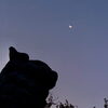 月齢二十五日の残月と狛犬。「Good morning Otaru!」