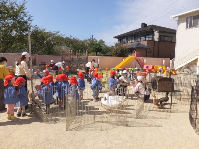 「一日動物園」