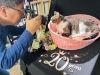 色んなレンズと角度で猫ちゃんを撮影いたします！「ご自宅で叶える、ペットの記念撮影—大切な家族の“今”をカタチに」
