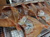 「📣本日のお魚情報🐟」