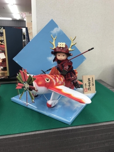 赤い鯉のぼりの飛行機に乗ってます。「赤い鎧兜 五月人形【節句人形の事なら何でもおまかせ！節句人形アドバイザーのいる店。人形と鯉のぼりの村上へ】」