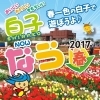 白子なう～2017春～