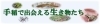 手稲で出会える生き物たち
