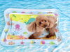 モカちゃん「波とわんこ🌊」