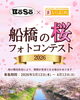 「船橋の桜フォトコンテスト開催中！長津川調整池で一足先にお花見してきました」