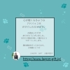 ご挨拶「WANWAN婚　MEETING　開催します。」
