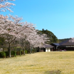 富津市民の森｜富津市