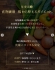 「【“食べて落とす”が正解！ダイエット中に意識したい栄養素３選】」