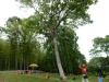 木登り成功！「ツリークライミング　in  山田池公園」