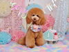 「Anniversaryphoto　(*´ω｀*)」