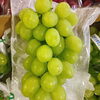 「岩手県花巻地区産「ロザリオ・ビアンコ」の出荷が始まっていますよ～。」
