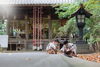 「神社にロケーション撮影【七五三】」