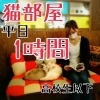 猫部屋 高校生以下  平日1時間コース